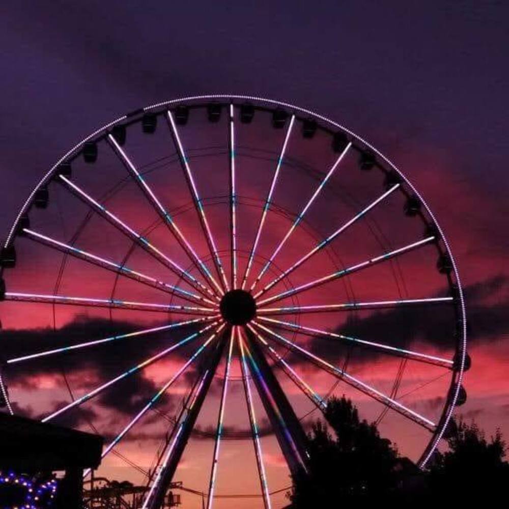 Meet your Posher, Donna